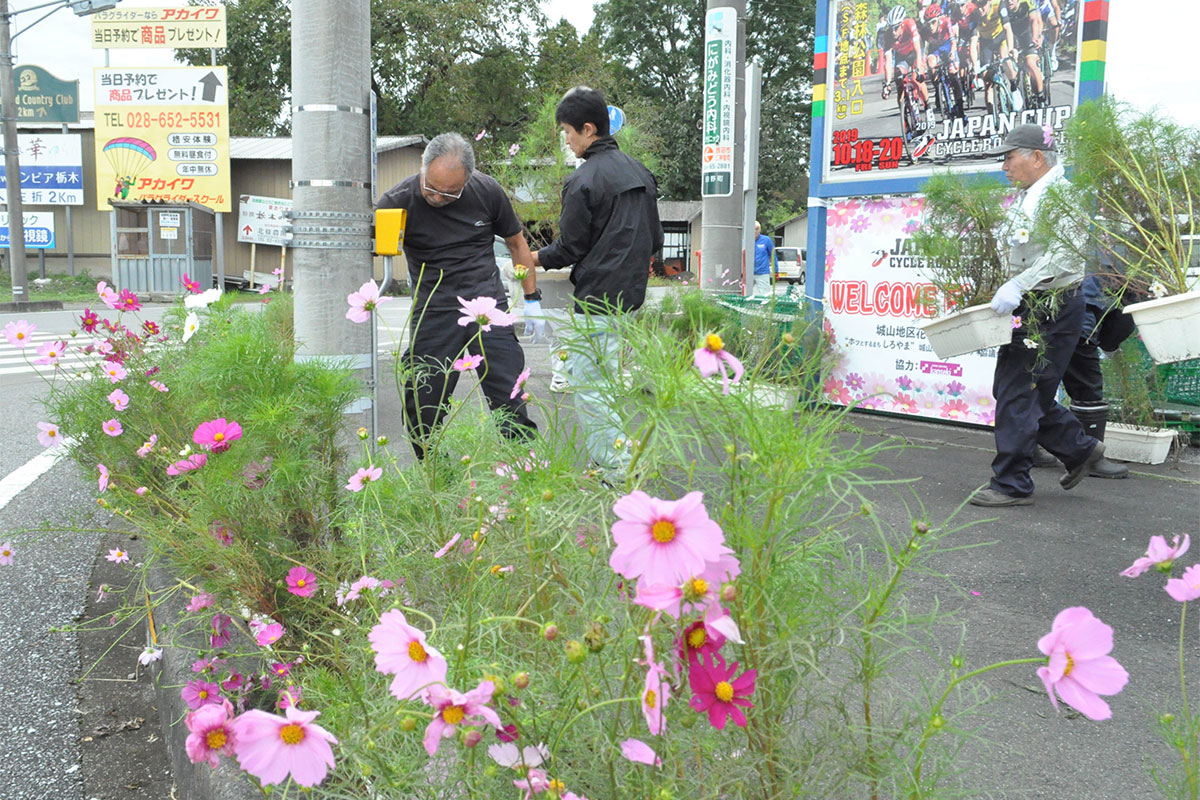 選手が疾走する田野町交差点に飾られたコスモス